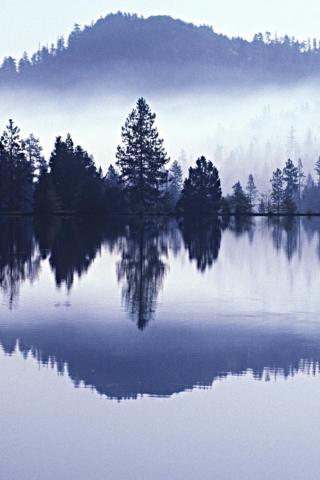 Das Misty Landscape Wallpaper 320x480