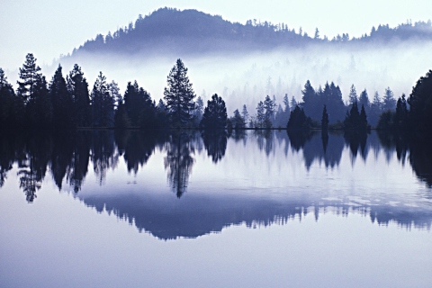 Misty Landscape screenshot #1 480x320