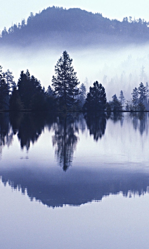 Das Misty Landscape Wallpaper 480x800
