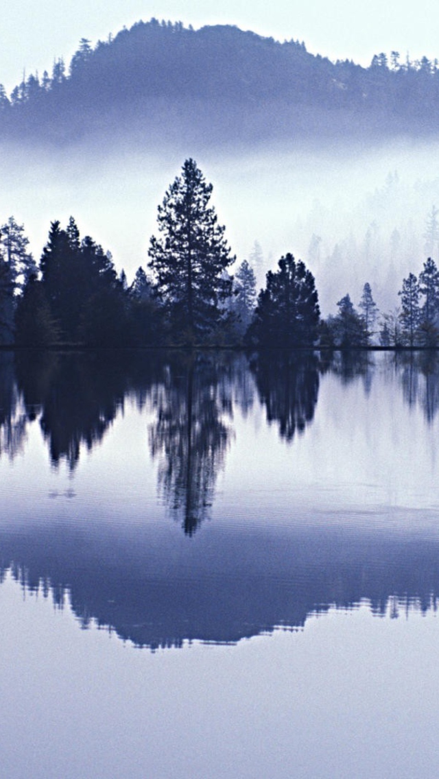 Misty Landscape wallpaper 640x1136