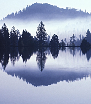Kostenloses Misty Landscape Wallpaper für Nokia 6260 slide