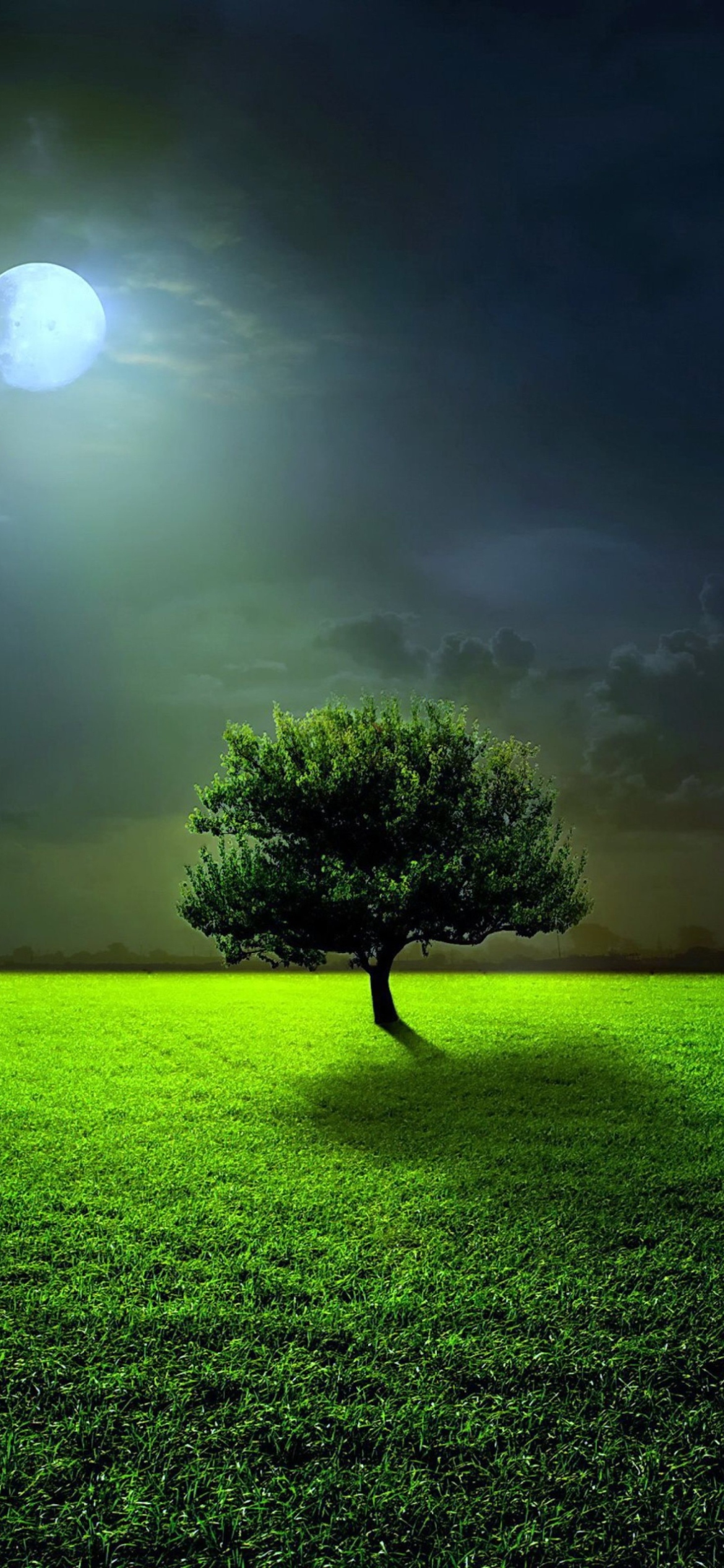 Screenshot №1 pro téma Evening With Lonely Tree 1170x2532