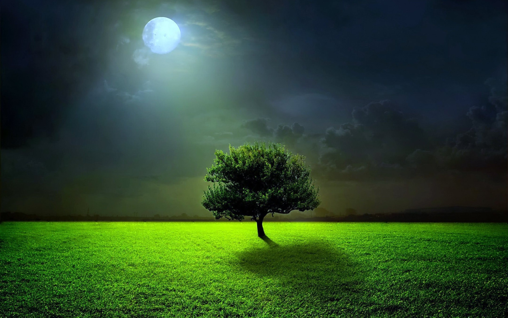 Das Evening With Lonely Tree Wallpaper 1680x1050