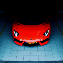 Das Red Lamborghini Aventador Wallpaper 208x208