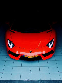 Обои Red Lamborghini Aventador 240x320