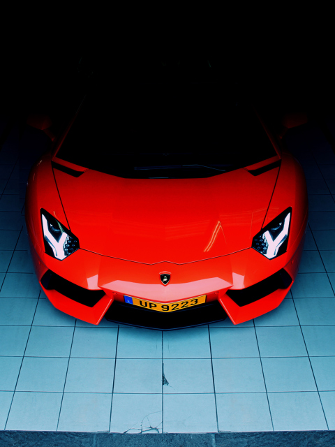 Fondo de pantalla Red Lamborghini Aventador 480x640