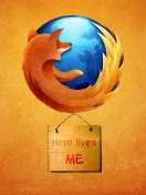 Firefox Internet Shield screenshot #1 132x176
