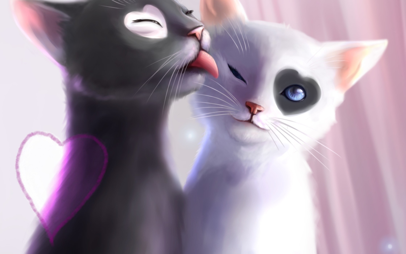 Обои Black And White Cats Romance 1680x1050