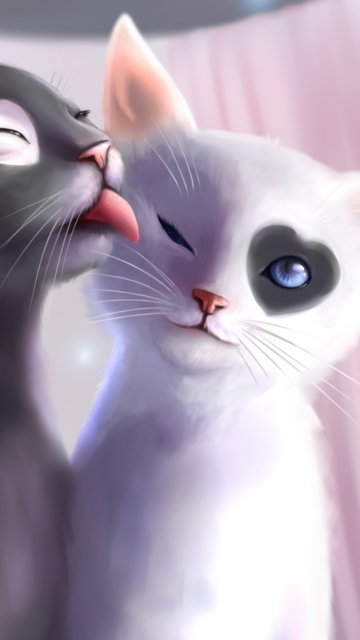 Обои Black And White Cats Romance 360x640