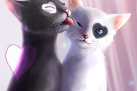 Fondo de pantalla Black And White Cats Romance 480x320