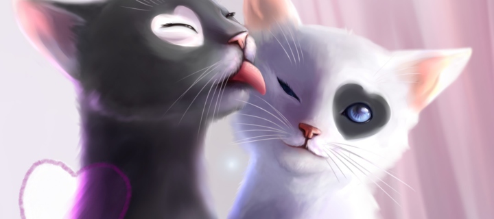 Обои Black And White Cats Romance 720x320