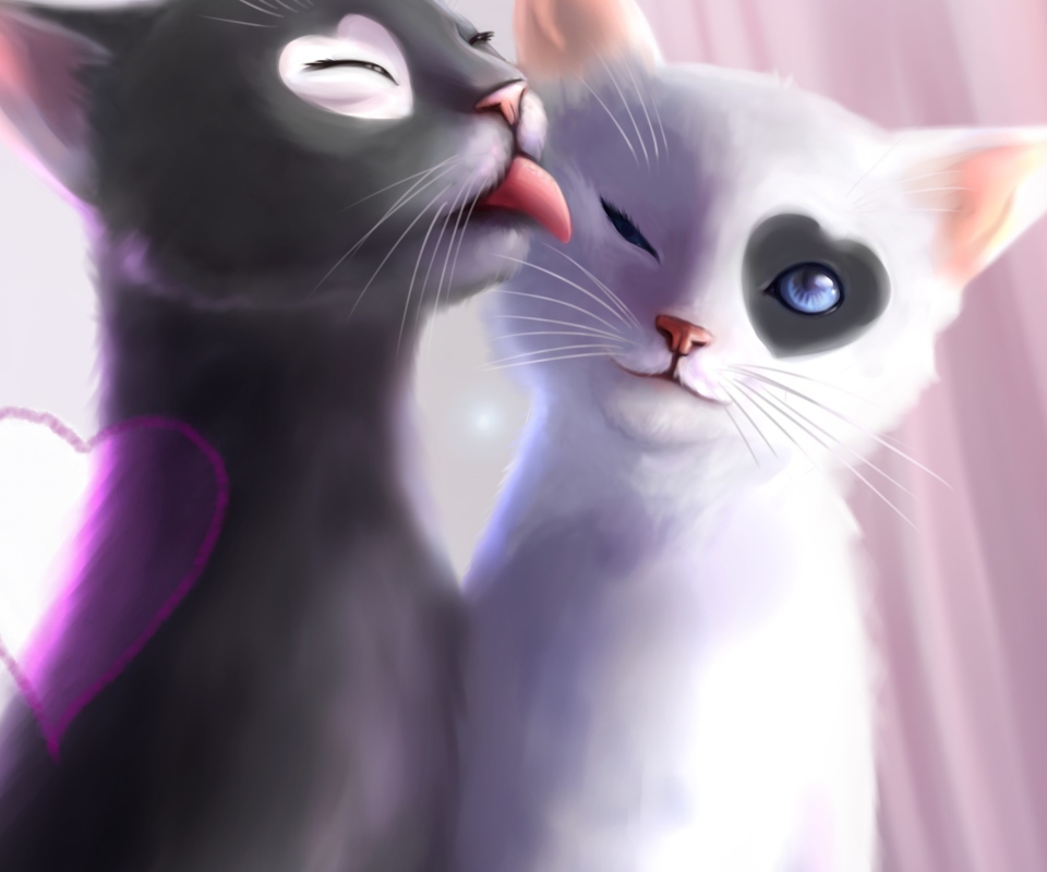 Обои Black And White Cats Romance 960x800