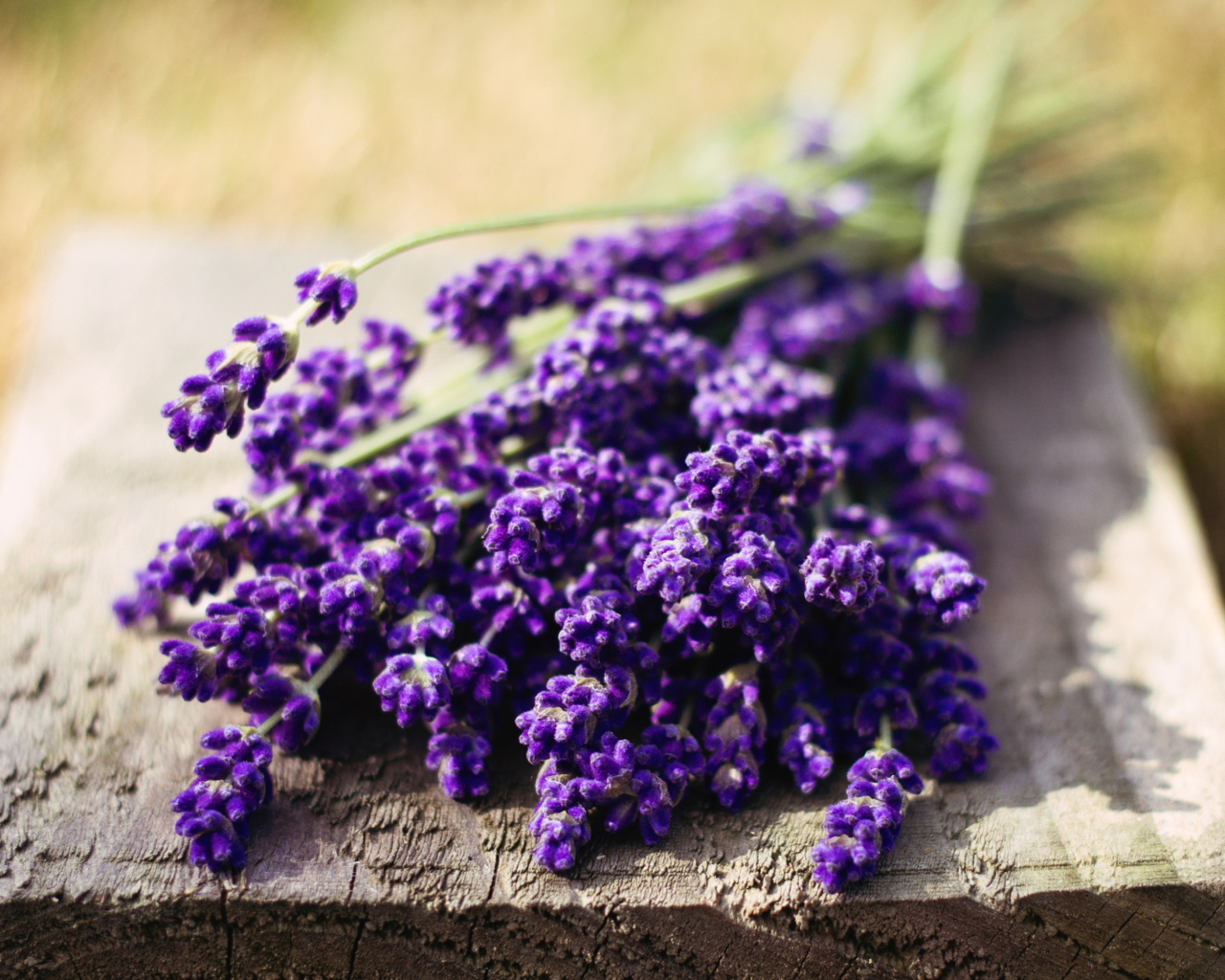 Lovely Lavender Bouquet screenshot #1 1280x1024