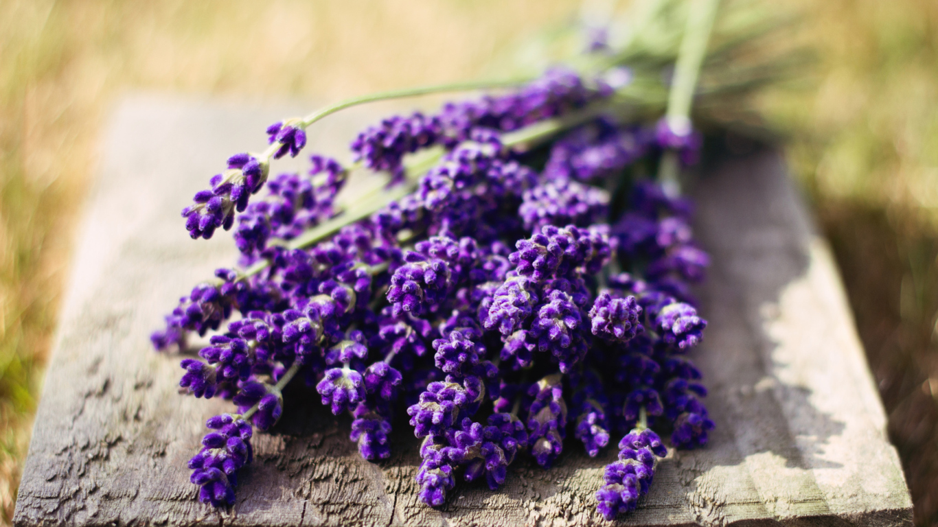 Lovely Lavender Bouquet screenshot #1 1366x768