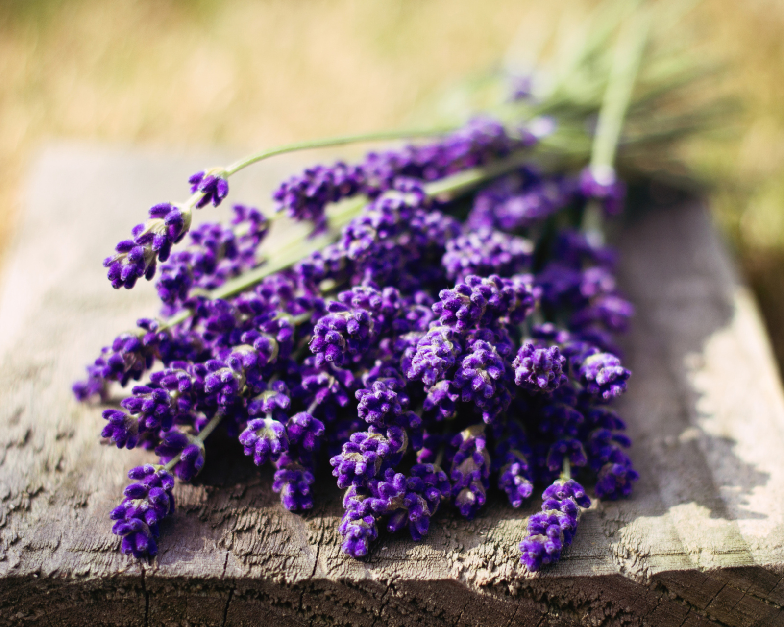 Screenshot №1 pro téma Lovely Lavender Bouquet 1600x1280