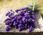 Screenshot №1 pro téma Lovely Lavender Bouquet 176x144