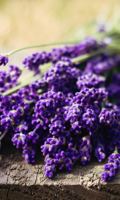 Screenshot №1 pro téma Lovely Lavender Bouquet 240x400