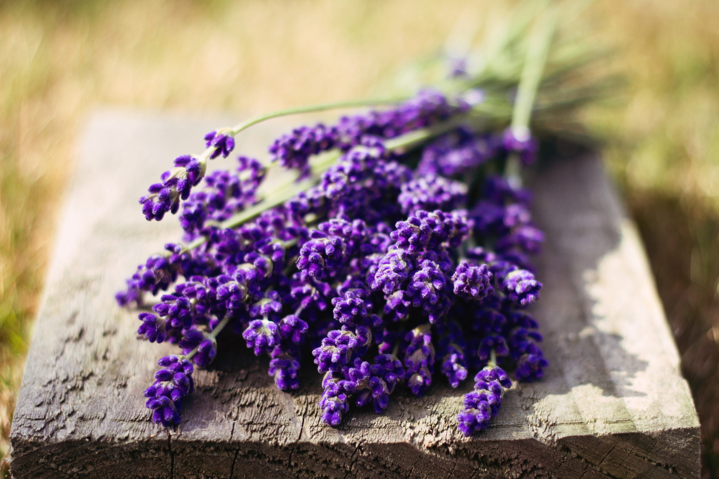 Обои Lovely Lavender Bouquet 2880x1920