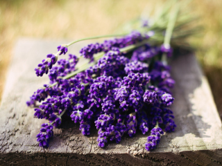 Lovely Lavender Bouquet screenshot #1 320x240