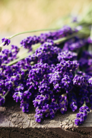 Sfondi Lovely Lavender Bouquet 320x480