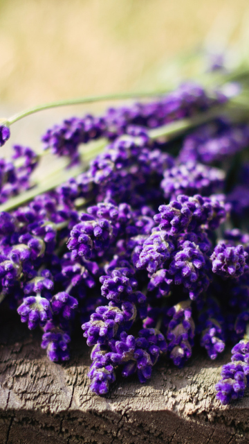 Screenshot №1 pro téma Lovely Lavender Bouquet 360x640