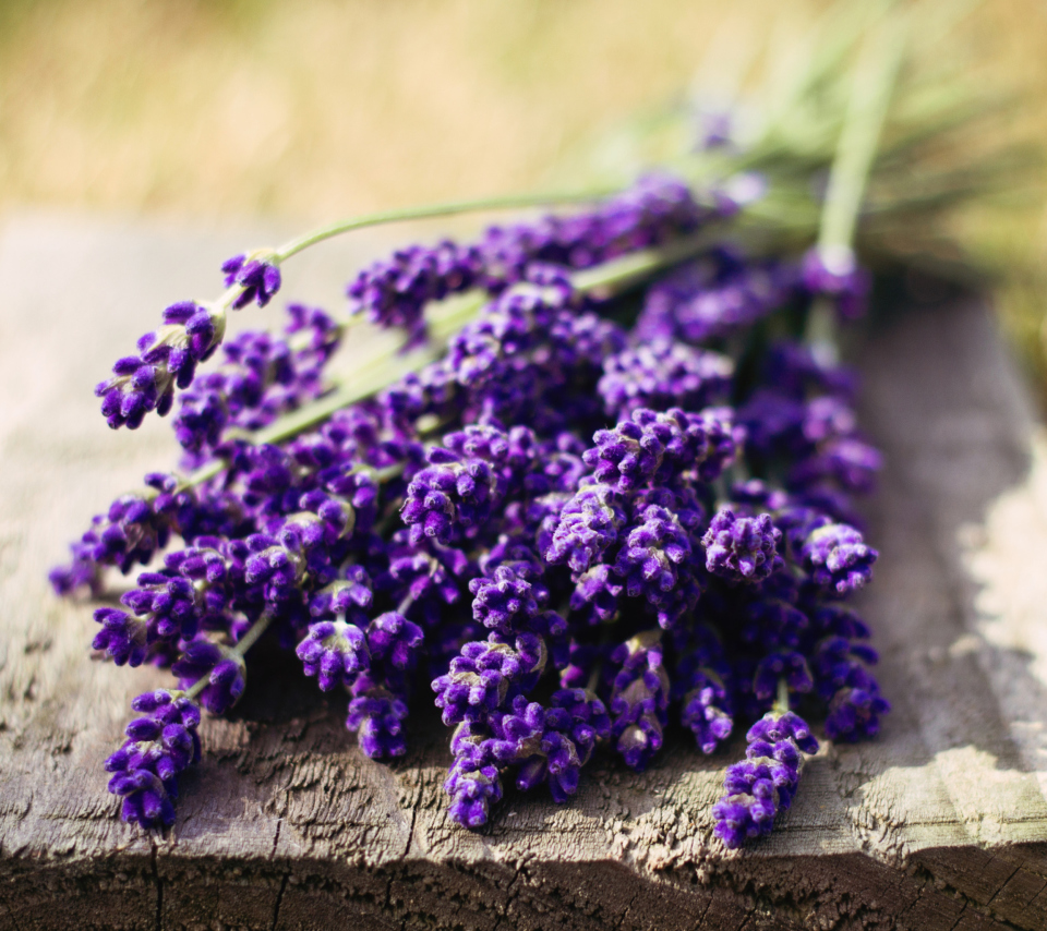 Lovely Lavender Bouquet screenshot #1 960x854