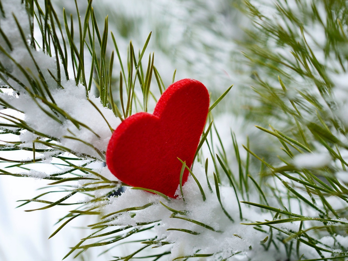 Last Christmas I Gave You My Heart wallpaper 1152x864