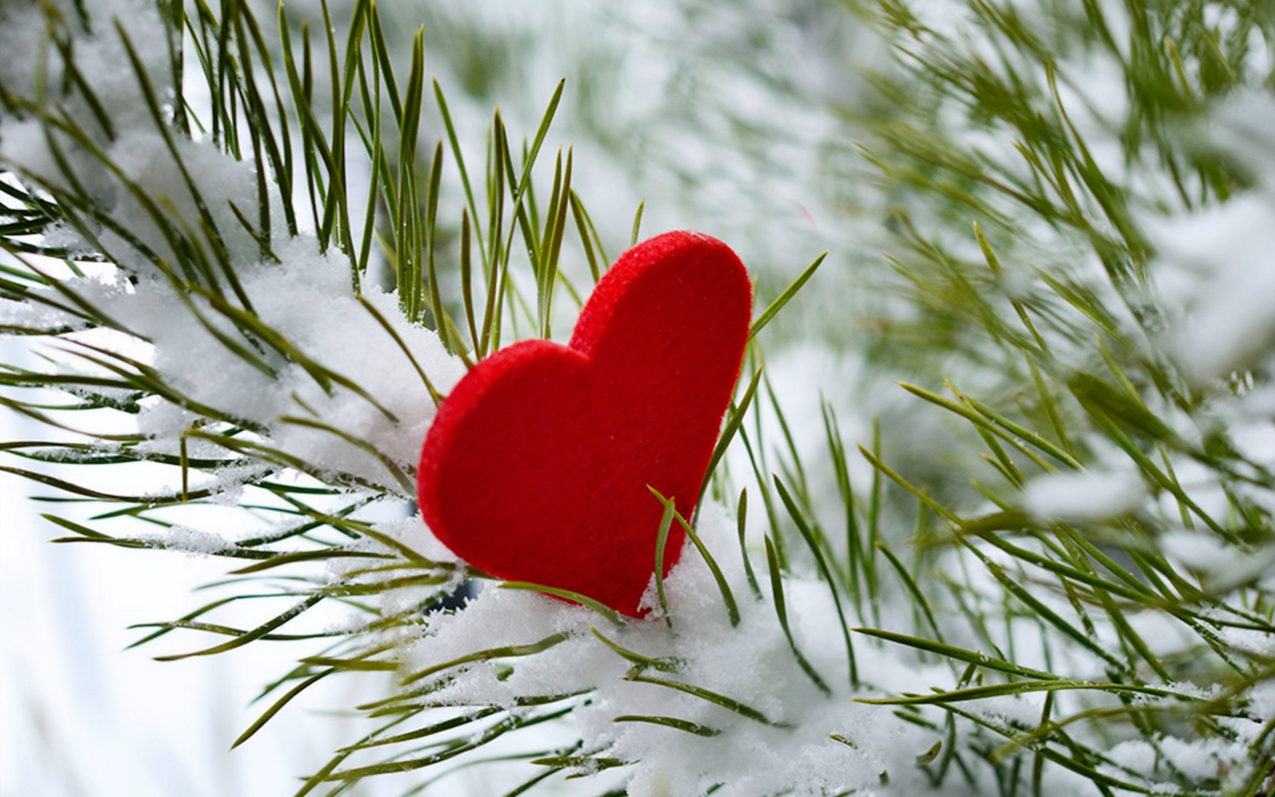 Screenshot №1 pro téma Last Christmas I Gave You My Heart 2560x1600