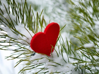 Das Last Christmas I Gave You My Heart Wallpaper 320x240