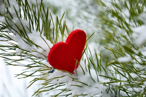 Last Christmas I Gave You My Heart wallpaper 480x320