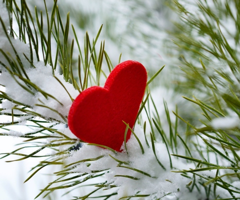 Обои Last Christmas I Gave You My Heart 480x400