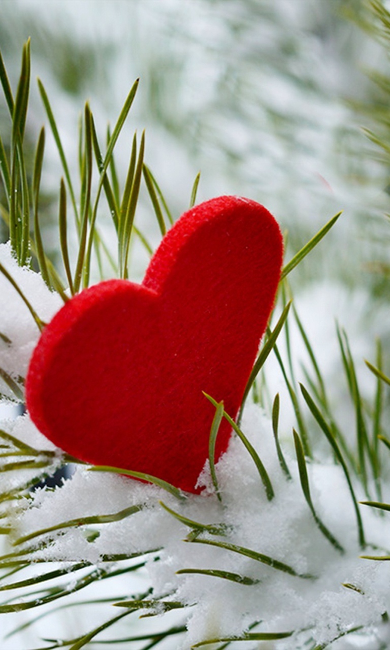 Das Last Christmas I Gave You My Heart Wallpaper 768x1280