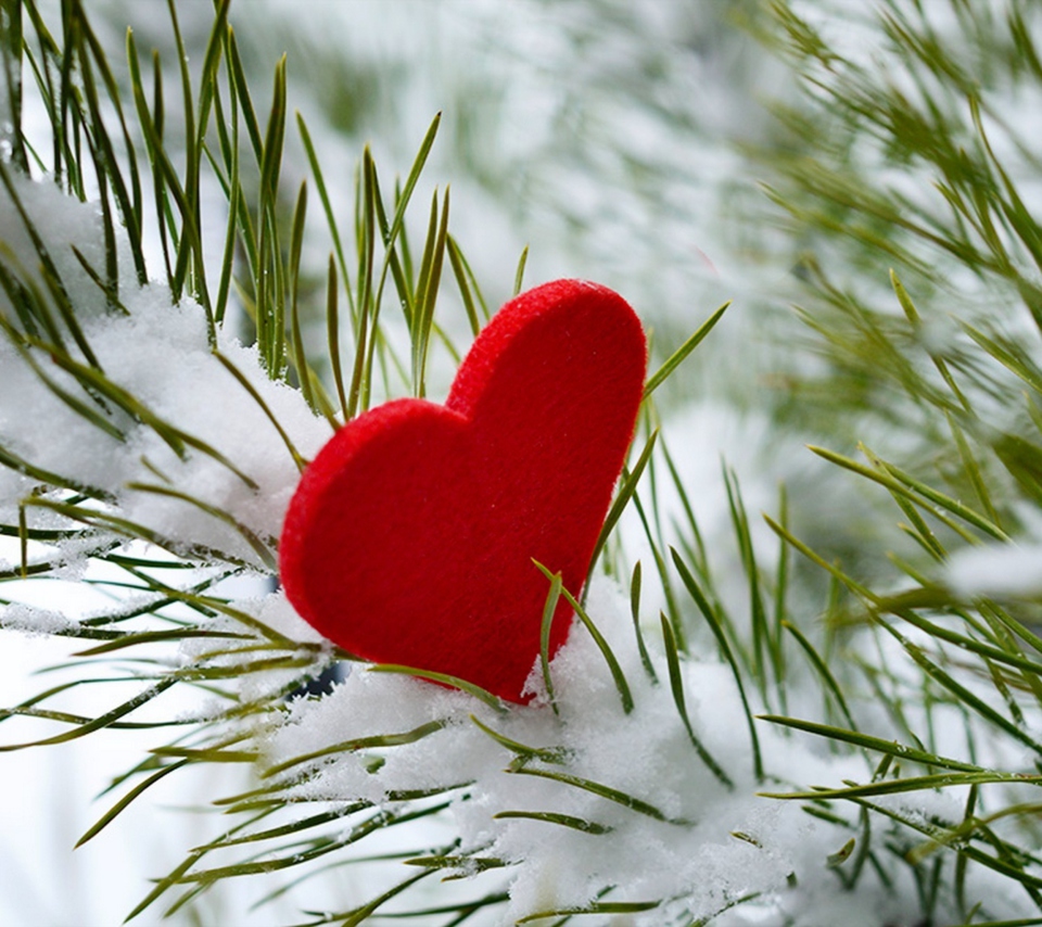 Sfondi Last Christmas I Gave You My Heart 960x854