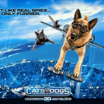 Cats & Dogs: The Revenge of Kitty Galore wallpaper 208x208