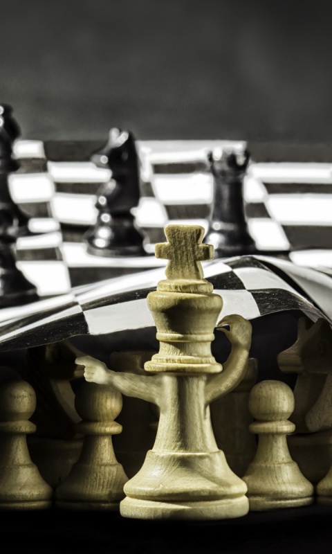 Chess wallpaper 480x800