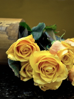 Fondo de pantalla Melancholy Yellow roses 240x320