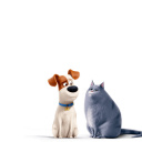 The Secret Life of Pets Max and Chloe wallpaper 128x128