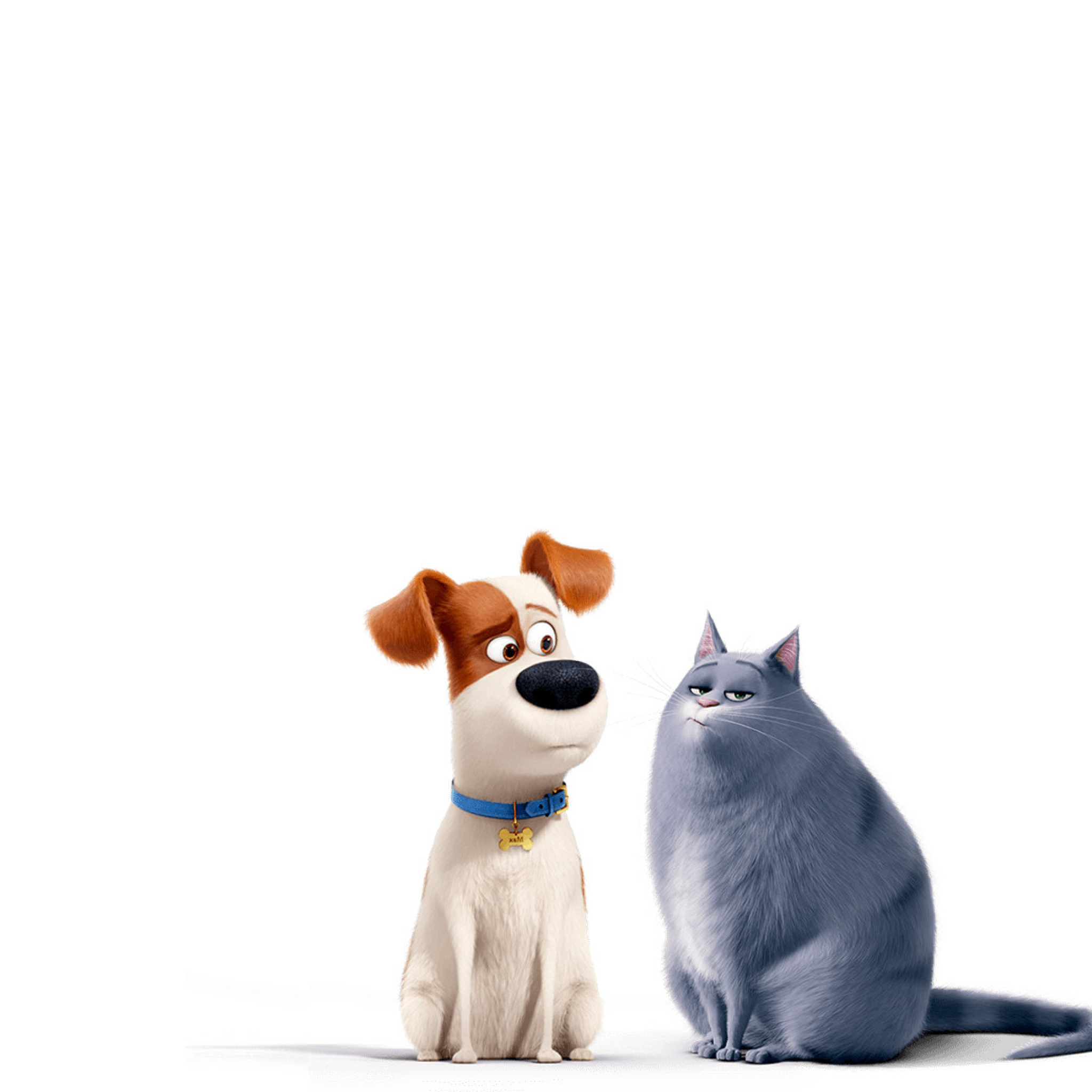 Sfondi The Secret Life of Pets Max and Chloe 2048x2048
