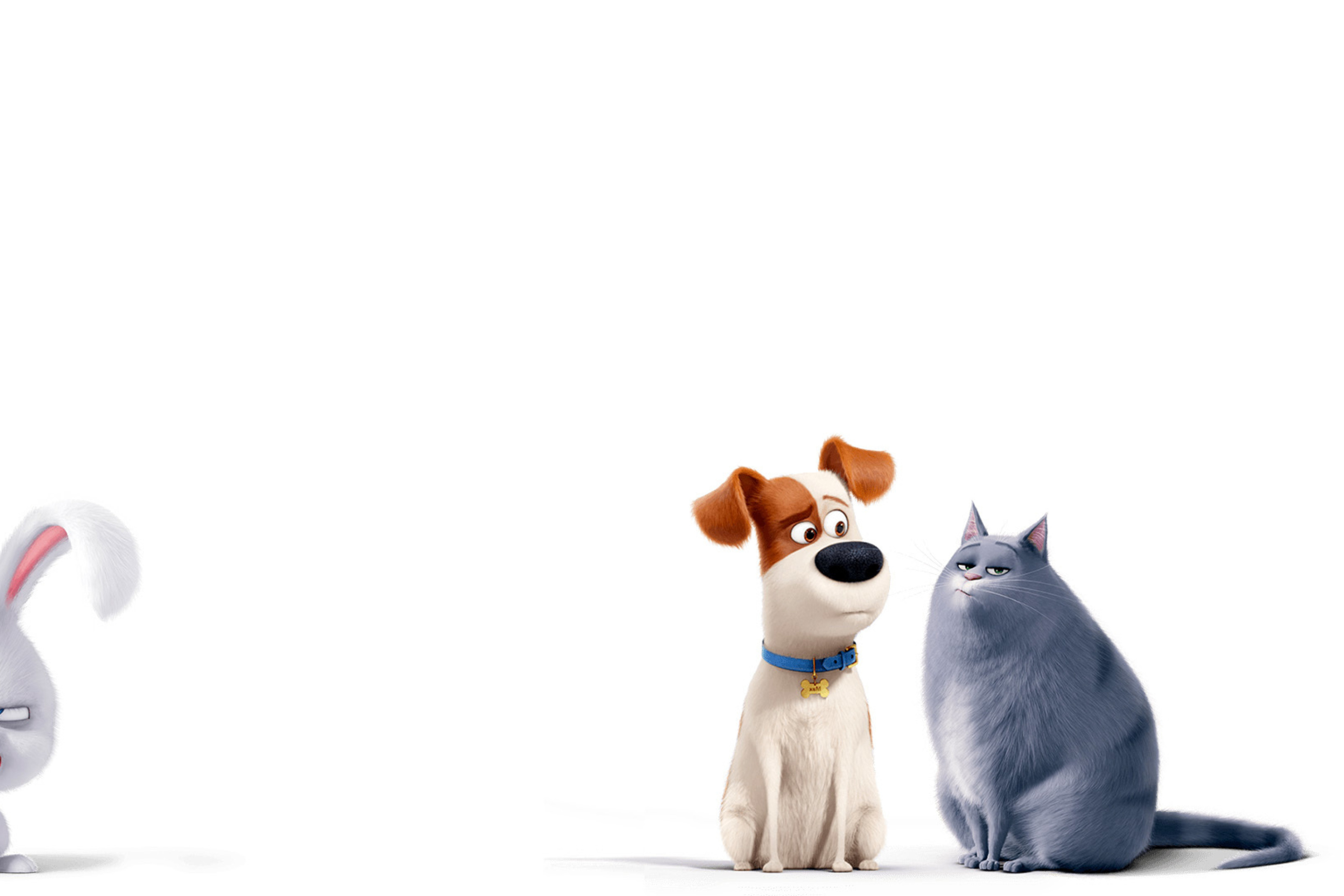 Screenshot №1 pro téma The Secret Life of Pets Max and Chloe 2880x1920