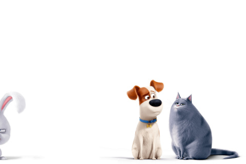 Fondo de pantalla The Secret Life of Pets Max and Chloe 480x320