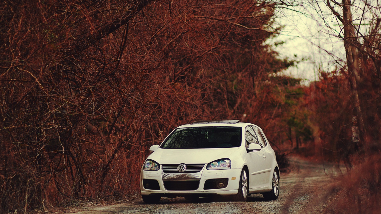 Das Volkswagen in Forest Wallpaper 1280x720