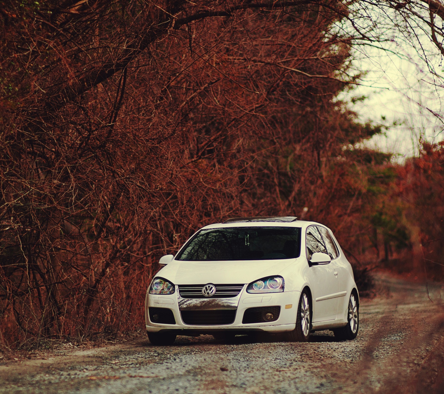 Volkswagen in Forest wallpaper 1440x1280