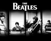 Beatles: John Lennon, Paul McCartney, George Harrison, Ringo Starr wallpaper 176x144