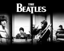 Beatles: John Lennon, Paul McCartney, George Harrison, Ringo Starr wallpaper 220x176