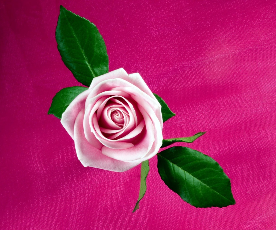 Screenshot №1 pro téma Pink Rose 960x800