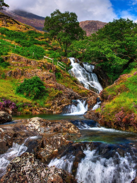 Sfondi Snowdonia National Park in north Wales 480x640