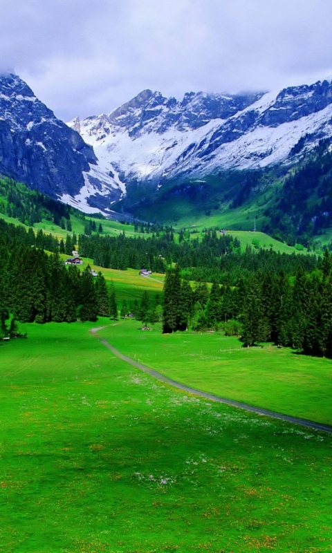 Screenshot №1 pro téma Alps Mountain 480x800