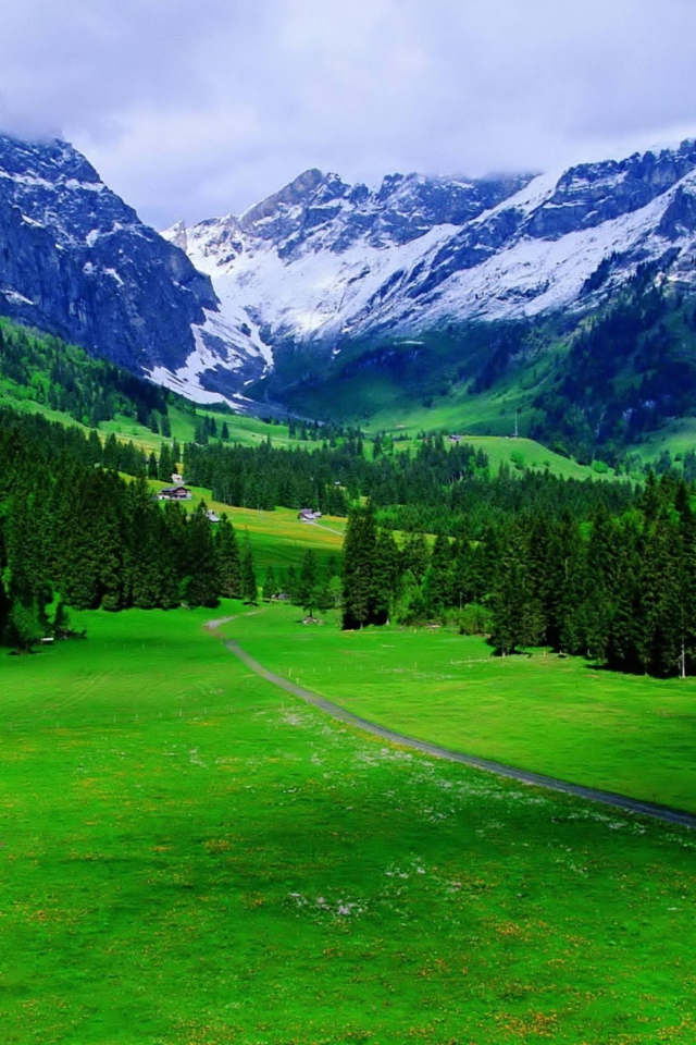 Обои Alps Mountain 640x960