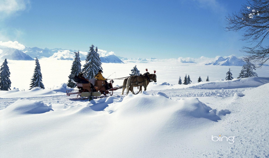 Sfondi Winter Snow And Sleigh With Horses 1024x600