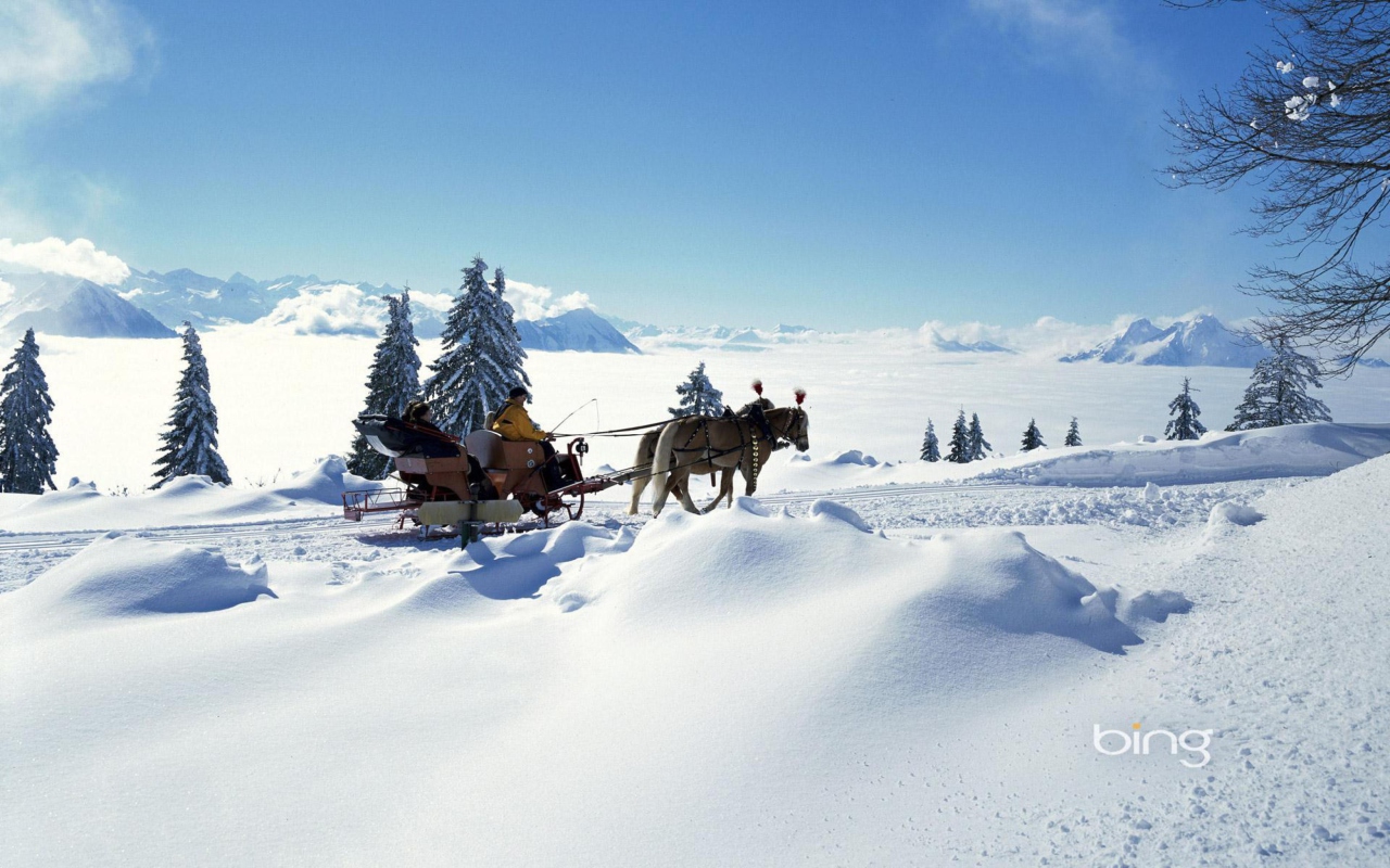 Sfondi Winter Snow And Sleigh With Horses 1280x800